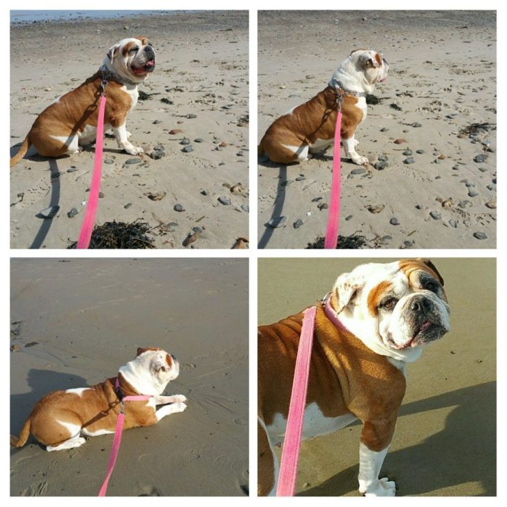 19875241_10210201215771511_484087074993157823_n