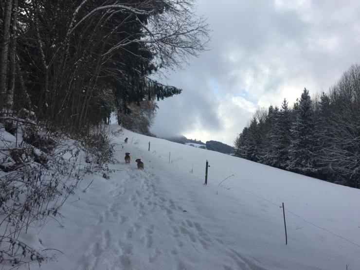 24900023_10214001958979167_6433034426885036572_n