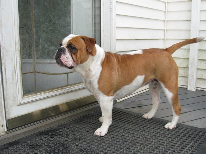 37945_1434852515981_7890819_n