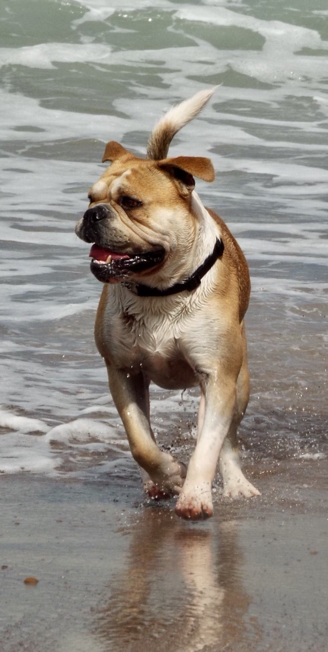 Alf Whitby North east coast of England