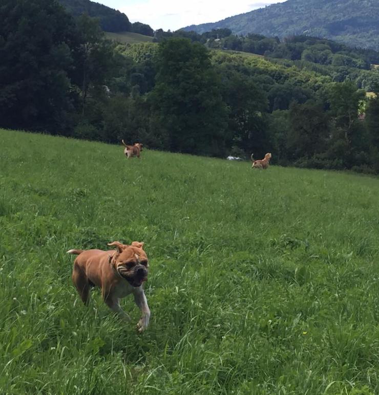 Bubble in front Khaki &amp; B2