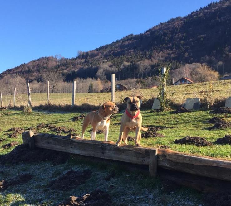 In the Garden - France Bubble and Noe