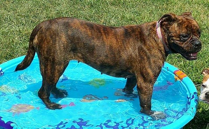 34065903_10212007046191480_6096374917513609216_n