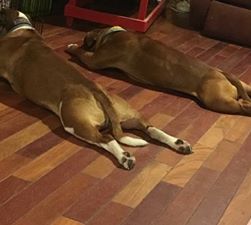 34175727_10212007025710968_4295643834953498624_n